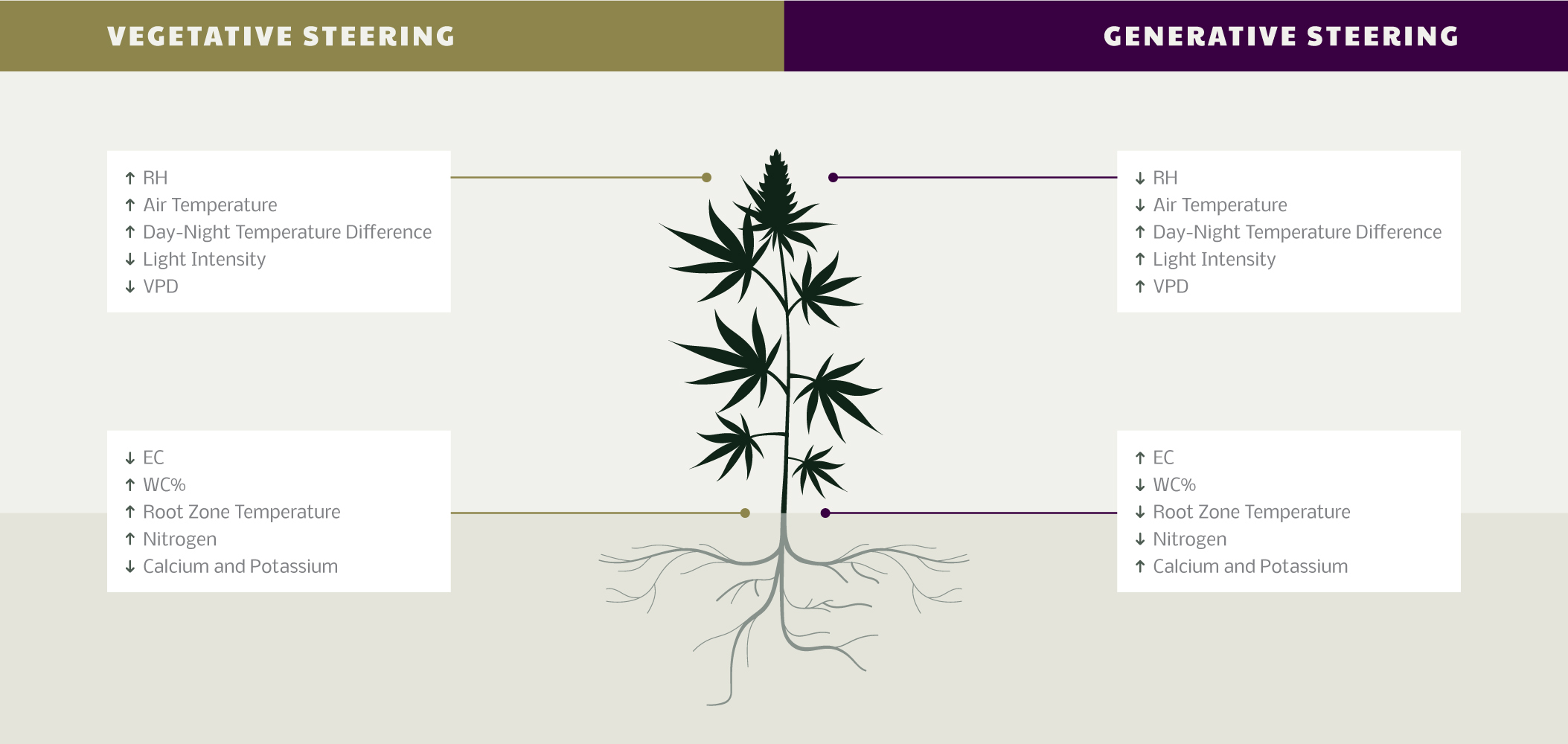 vegetative vs generative crop steering